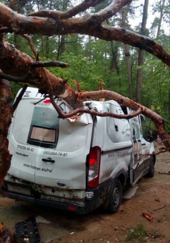 ущерб от падения дерева на автомобиль